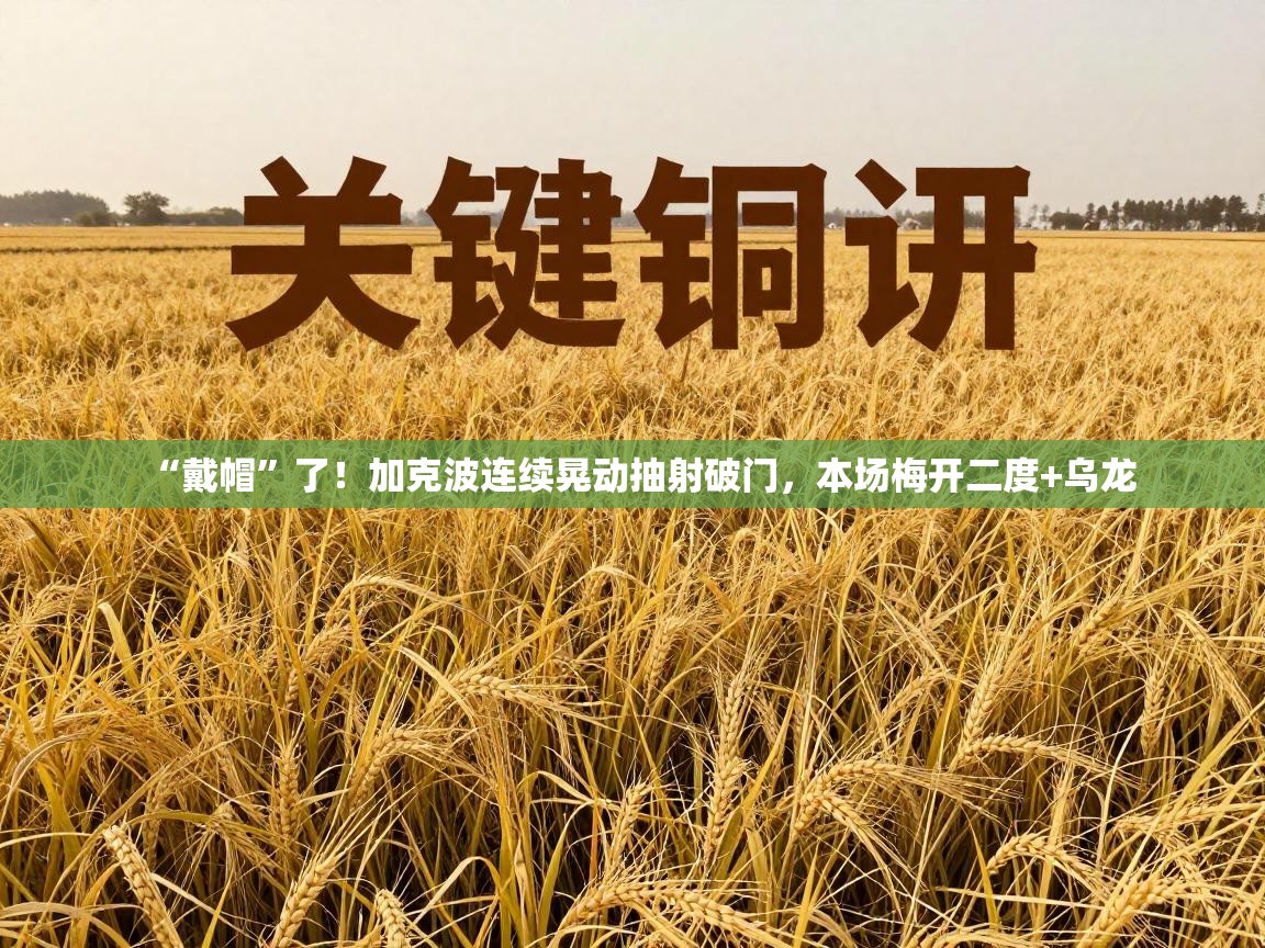 蓝鲸体育直播在线观看-“戴帽”了！加克波连续晃动抽射破门，本场梅开二度+乌龙  第1张