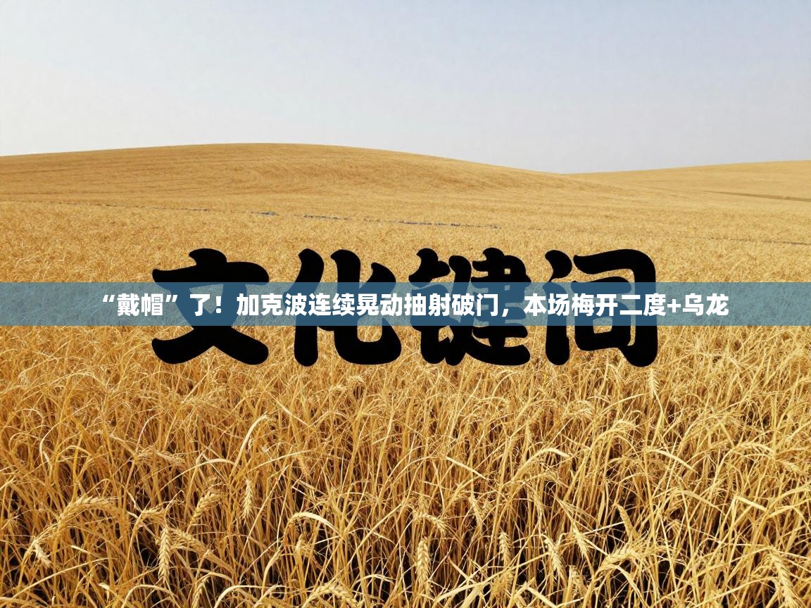 蓝鲸体育直播在线观看-“戴帽”了！加克波连续晃动抽射破门，本场梅开二度+乌龙  第3张