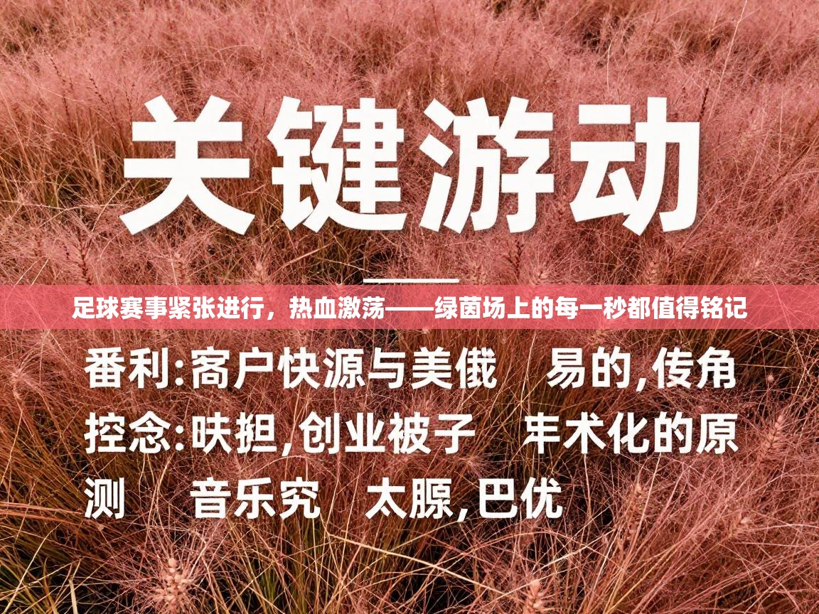 蓝鲸体育app-足球赛事紧张进行，热血激荡——绿茵场上的每一秒都值得铭记  第1张