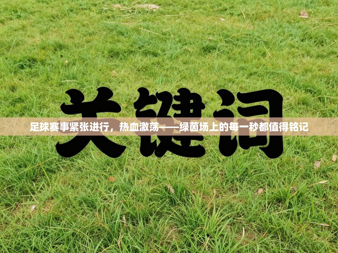 蓝鲸体育app-足球赛事紧张进行，热血激荡——绿茵场上的每一秒都值得铭记  第3张
