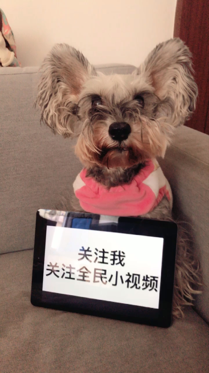 广发体育网页版-全民关注！精彩瞬间视频火爆网络的简单介绍